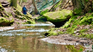 Bitterbachschlucht