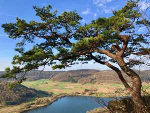 Happurger See wandern