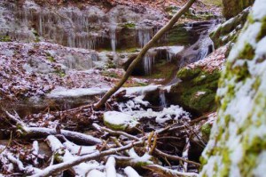 winterwandern Nürnberger Land 