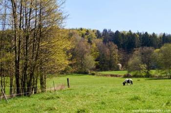 Wandern Moritzberg