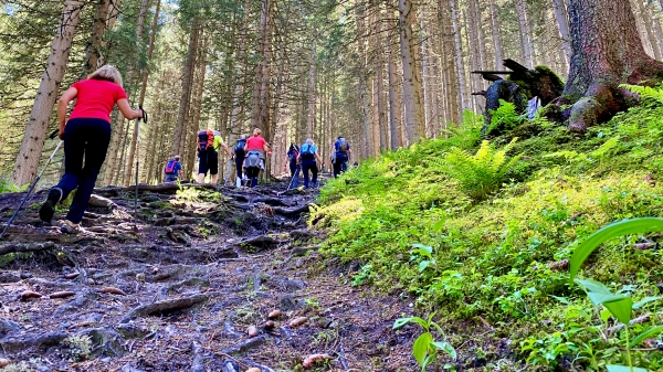 Abhilfe bei Blasen beim Wandern