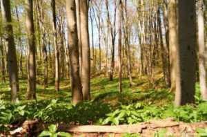 Familienwanderung Moritzberg