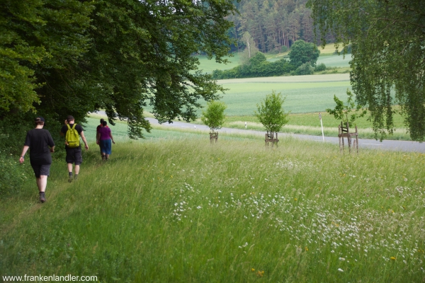 die letzten Kilometer zurück nach Plech