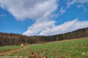 Rundwanderung Hersbrucker Schweiz