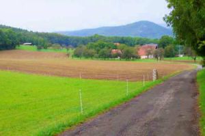 1000 Höhenmeter Weg