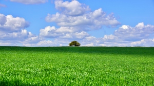 Brauereienweg Aufsess