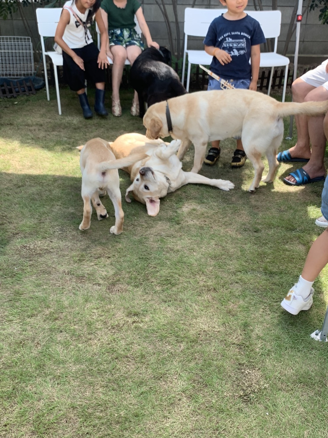 ジン君ウエルカム会が行われたそうです！