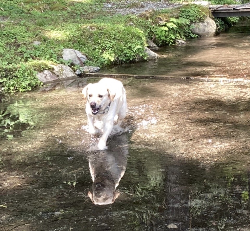 満喫しました！！！