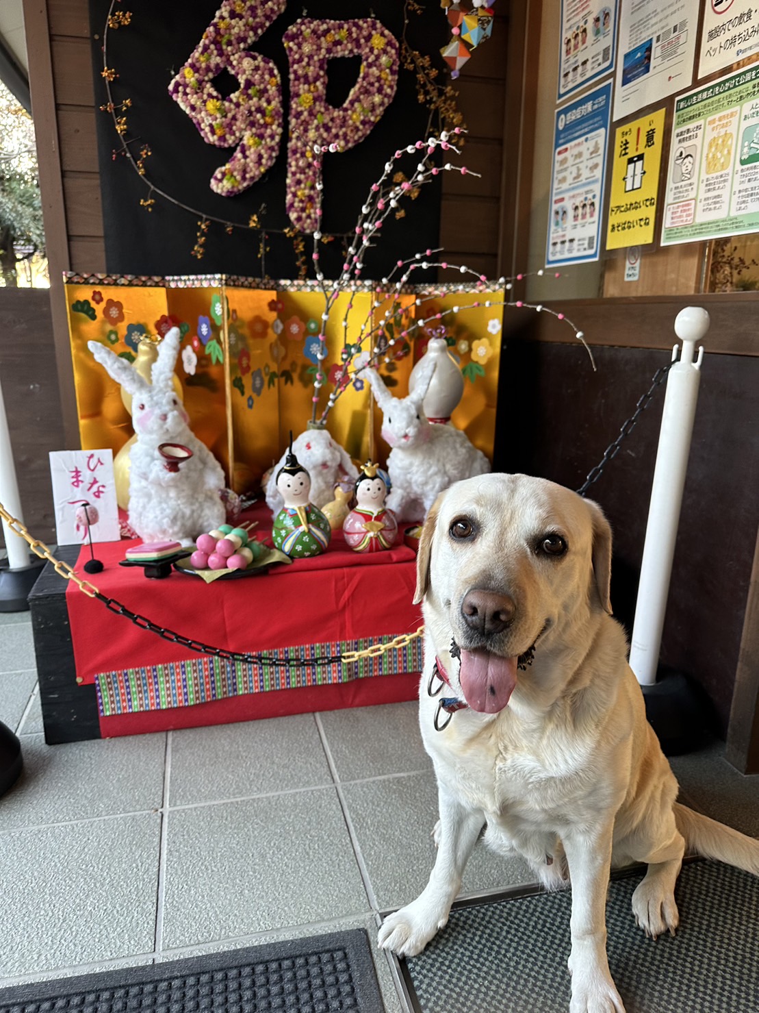 🐰のひな祭り　with　ラックちゃん