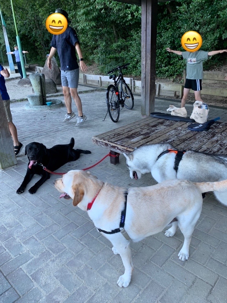 仁君、ラジオ体操に同伴です。　素敵な公園ですね。