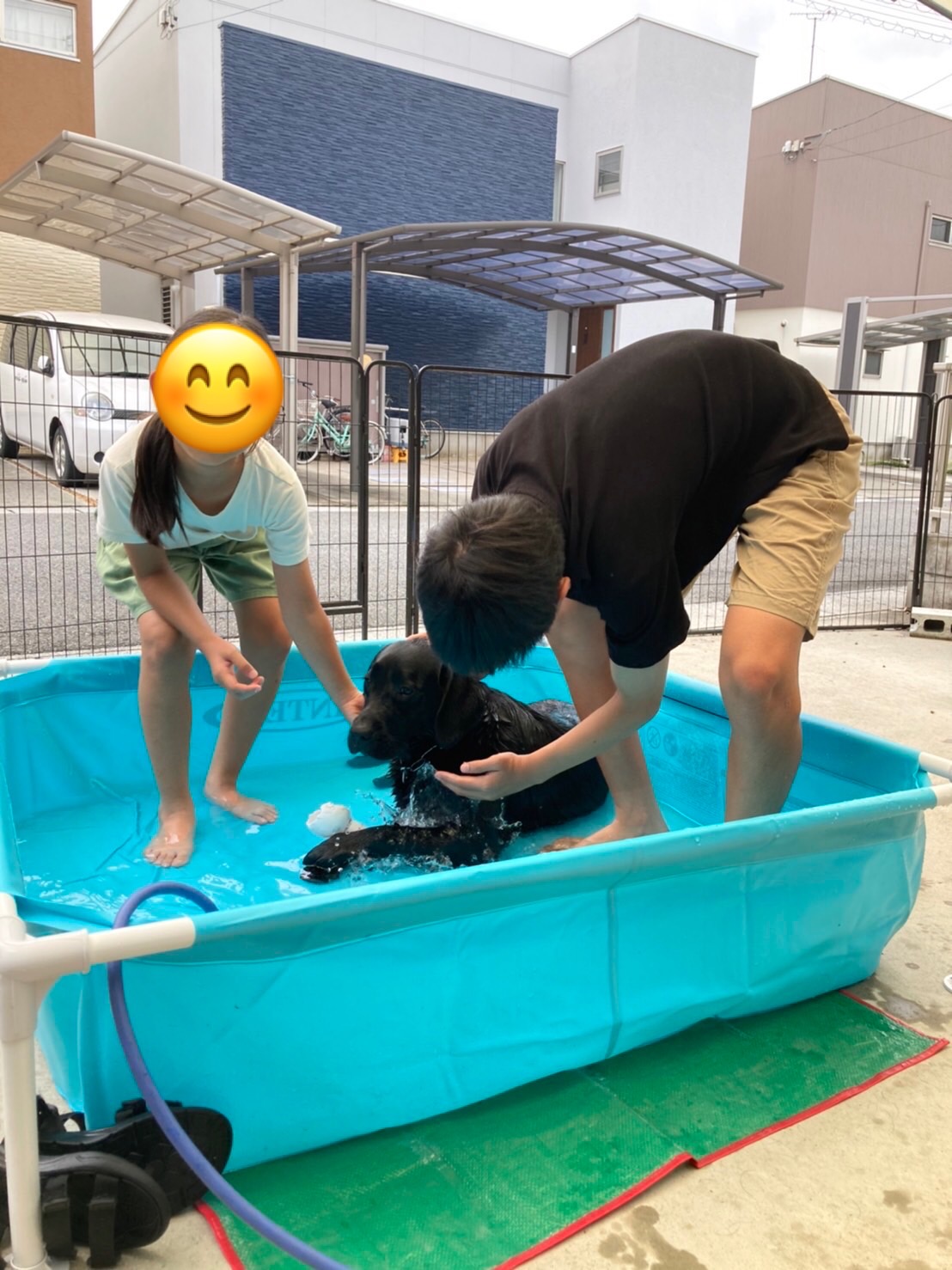 預託訓練卒業したラフちゃん！　夏休み中のお子さん達と、遊んで～