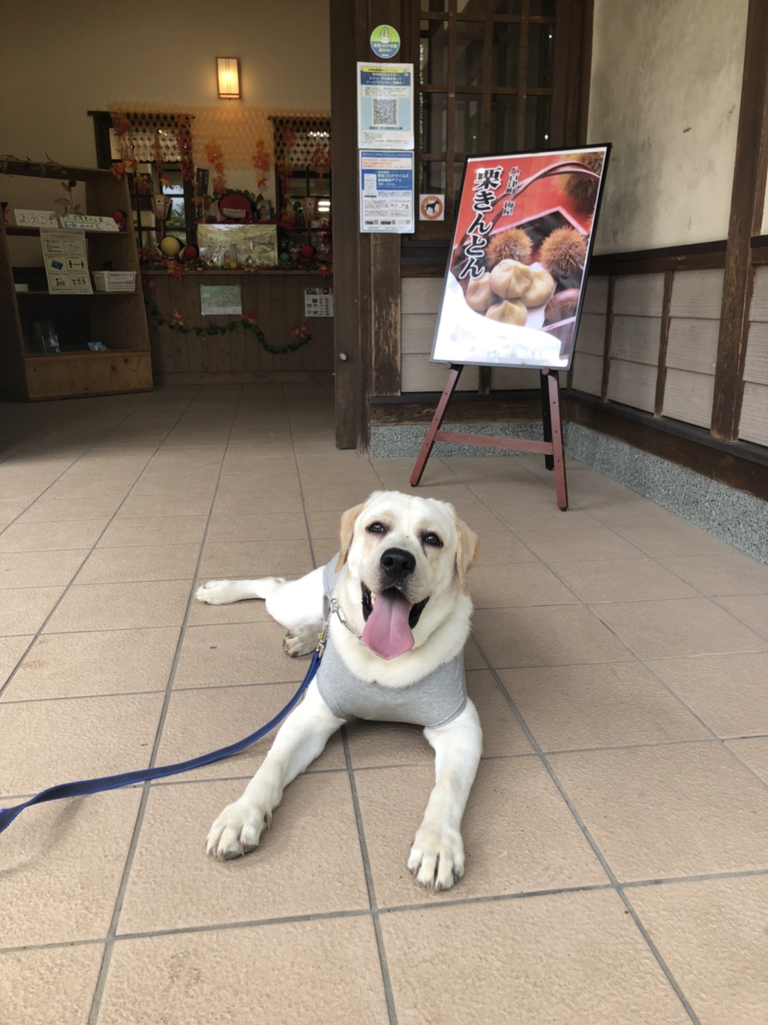 遊びに頑張ってます！　まだまだ泳ぎは苦手だそうです。。