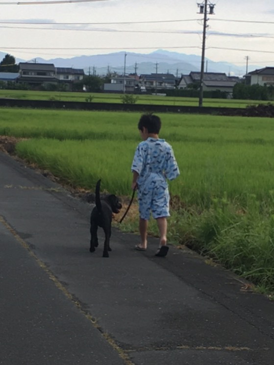 夏休み！　みんなでお散歩、小学生の息子さんもリードをちょっと持つよ！