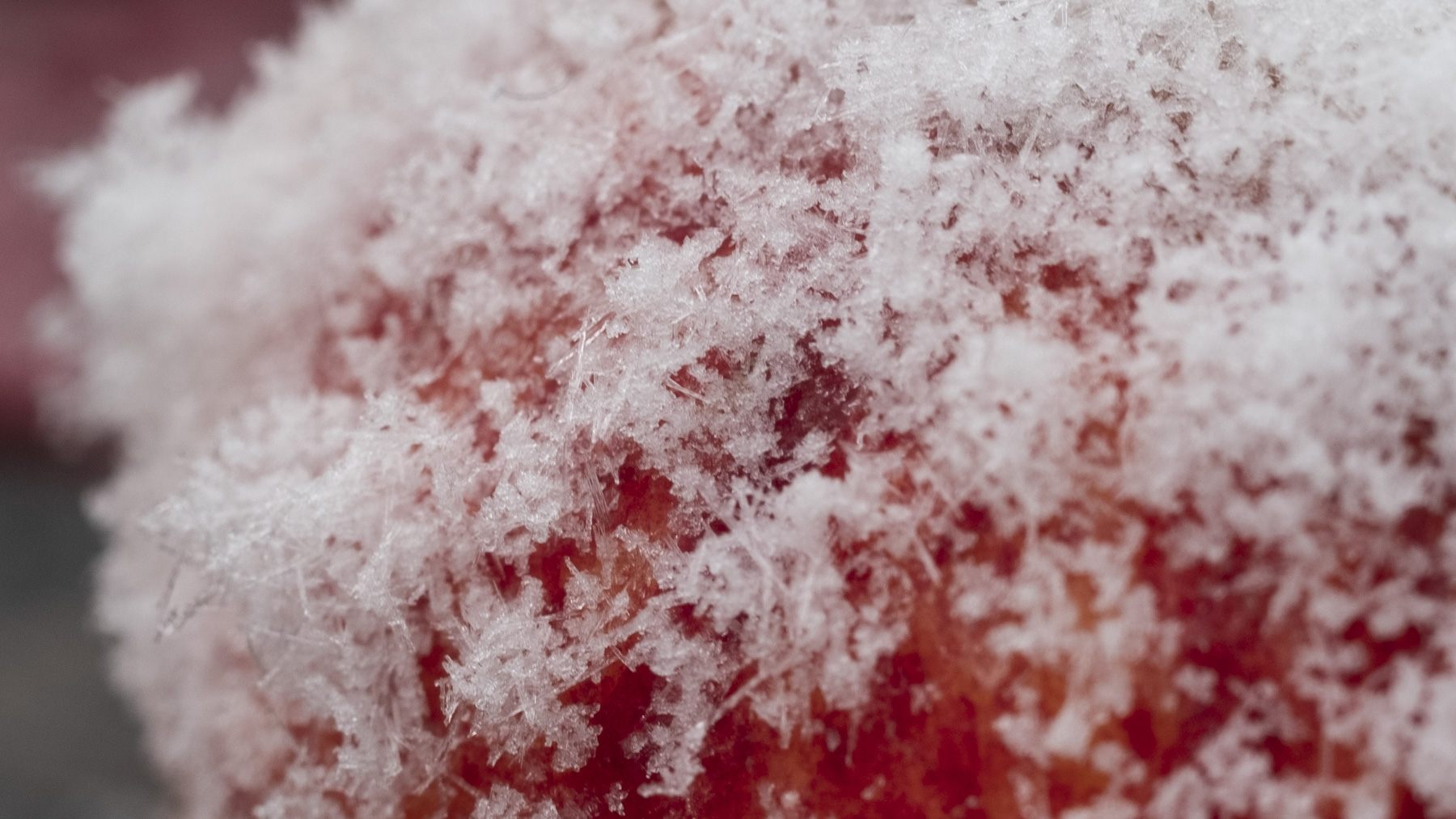 Schnee Bergführerbüro Reutte / Tirol, Outdoorkompetenz im Norden