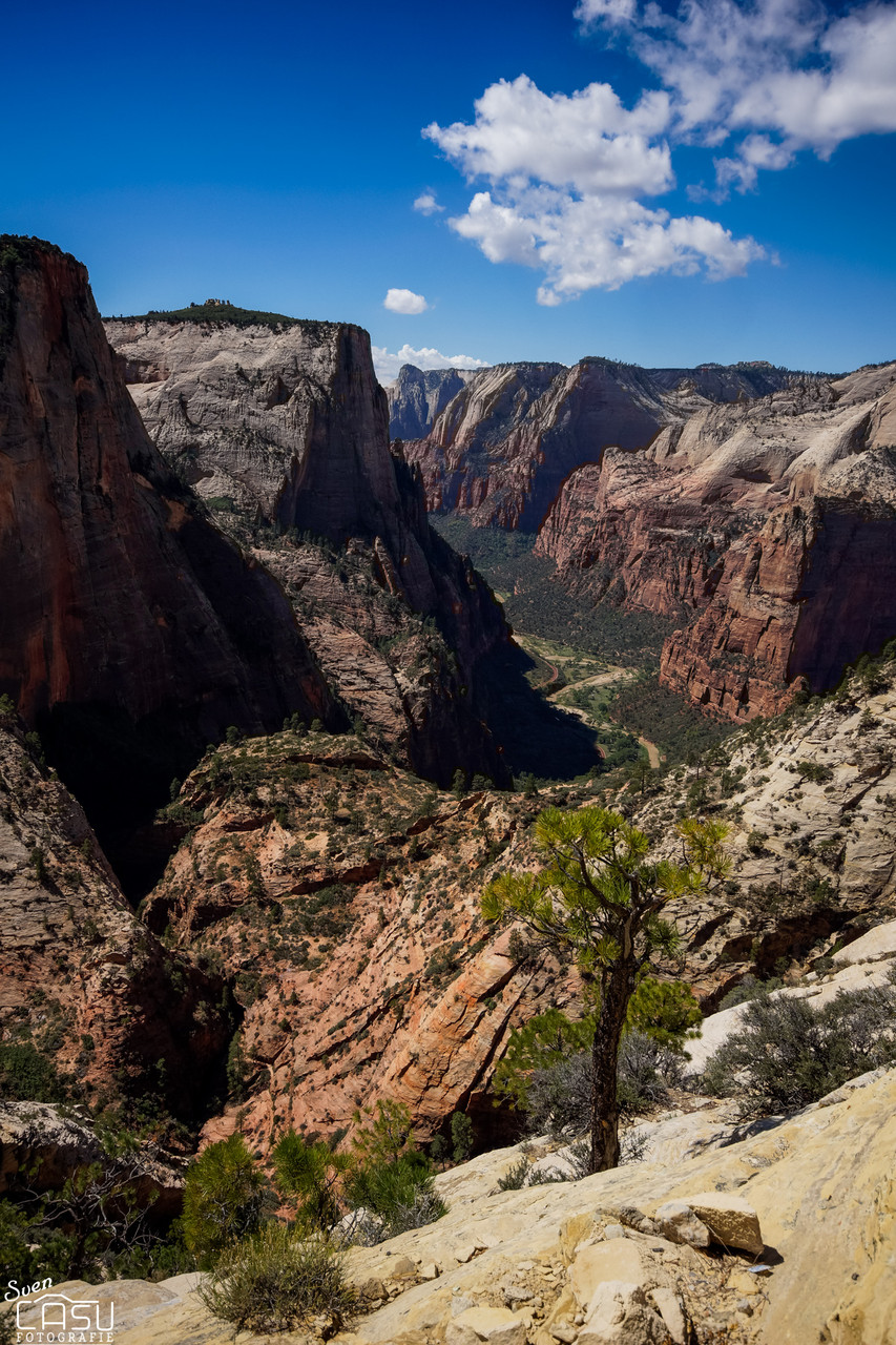 Zion Canyon
