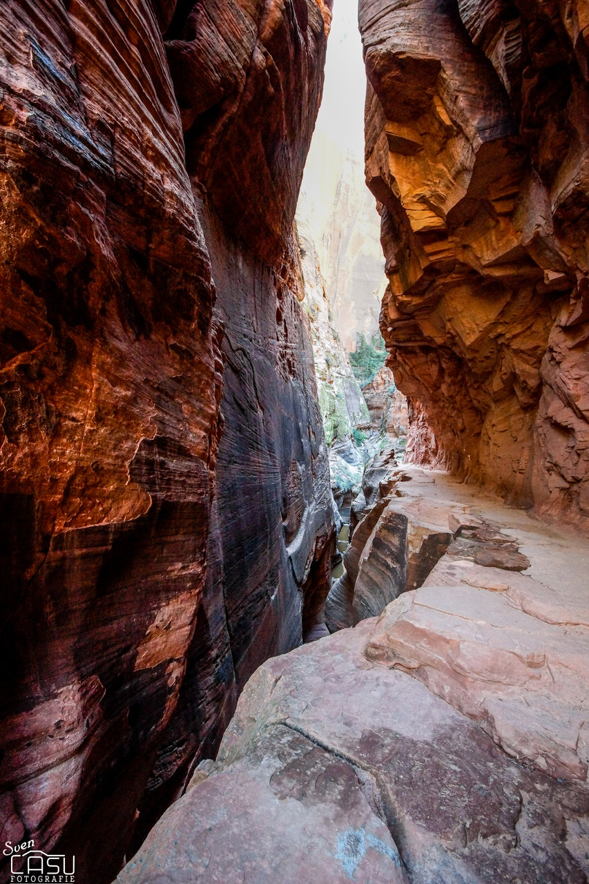 Zion Canyon