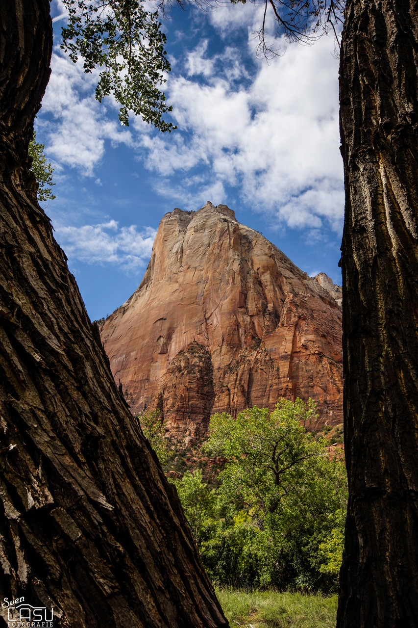 Zion Canyon