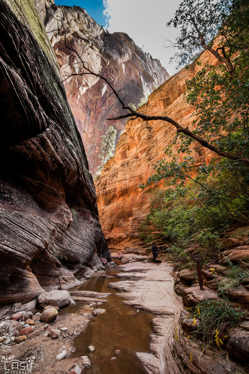 Zion Canyon