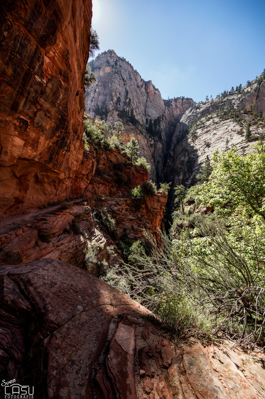 Zion Canyon