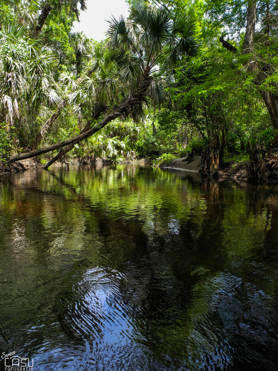 Florida - Loxahatchee River