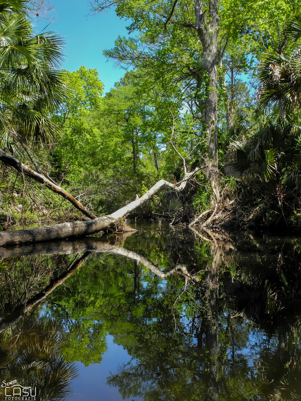Florida - Loxahatchee River