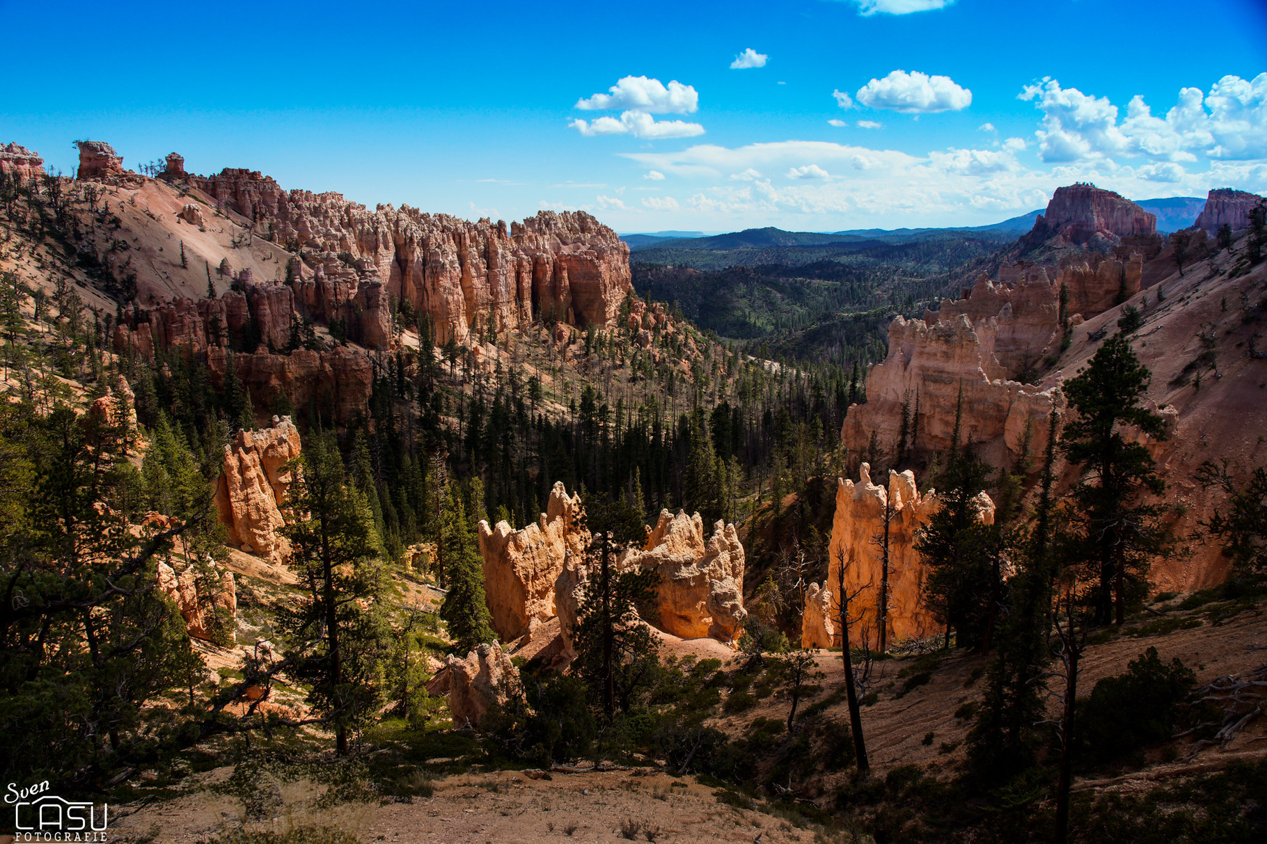 Bryce Canyon   
