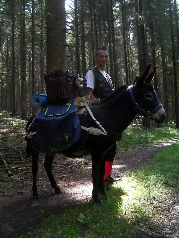 Brunos erste Wanderung mit einem Packsattel