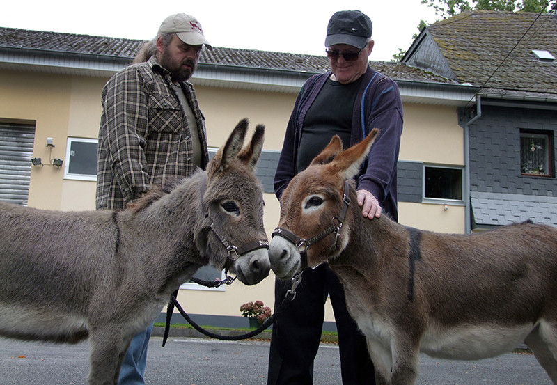 2014 Foto: J. Schmidt