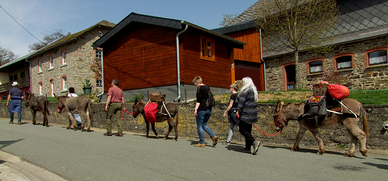 Osterseminar - Eseltrekking mit "meinen" 4 Jungs