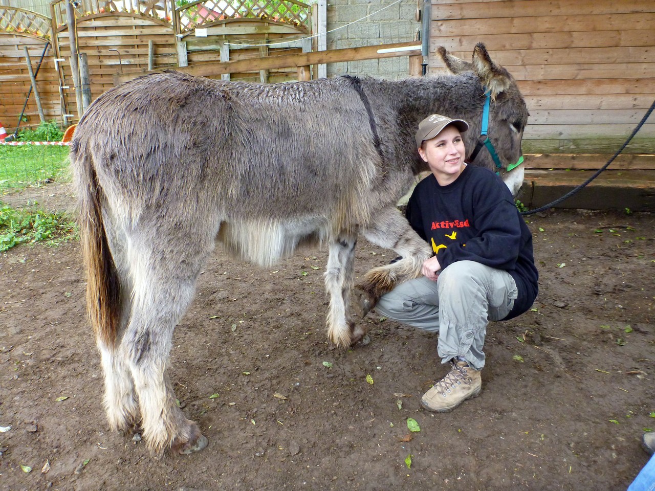 Judith Schmidt erklärt, wie man Hufe auskratzt, so dass es dem Esel dabei nicht unangenehm ist und er kooperativ bleibt. Foto: Brigitte Manser