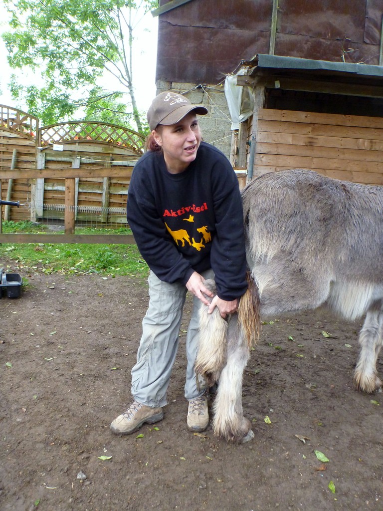 Judith Schmidt erklärt den Unterschied von Natural Horsemanship und ihrer eselfreundlichen Methode, das Hinterbein brav zu geben. Foto: Brigitte Manser