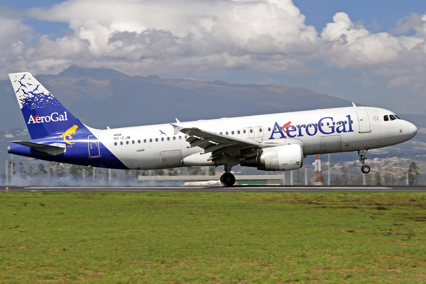 AeroGal Airbus A320-214 HC-CJM - Nur noch drei Flugzeuge sind in diesen Farben lackiert. Alle anderen Maschinen der Flotte tragen schon das Farbenkleid der Avianca, lediglich ein kleiner Sticker weist nun darauf hin, dass die Maschinen durch AeroGal betri