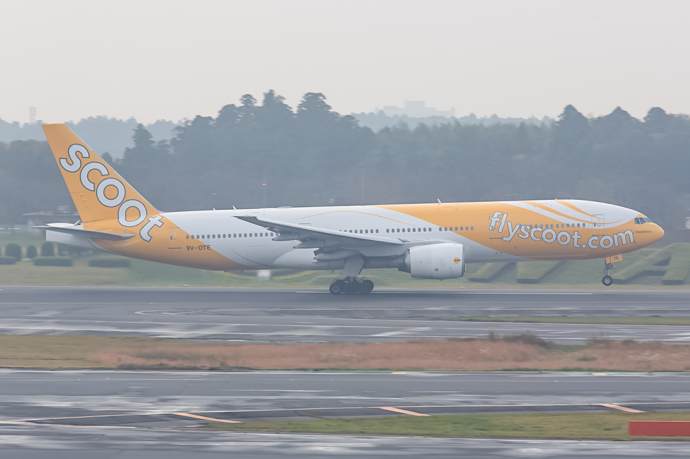 Demnächst werden bei Scoot sie Boeing 777 gegen Dreamliner ersetzt.