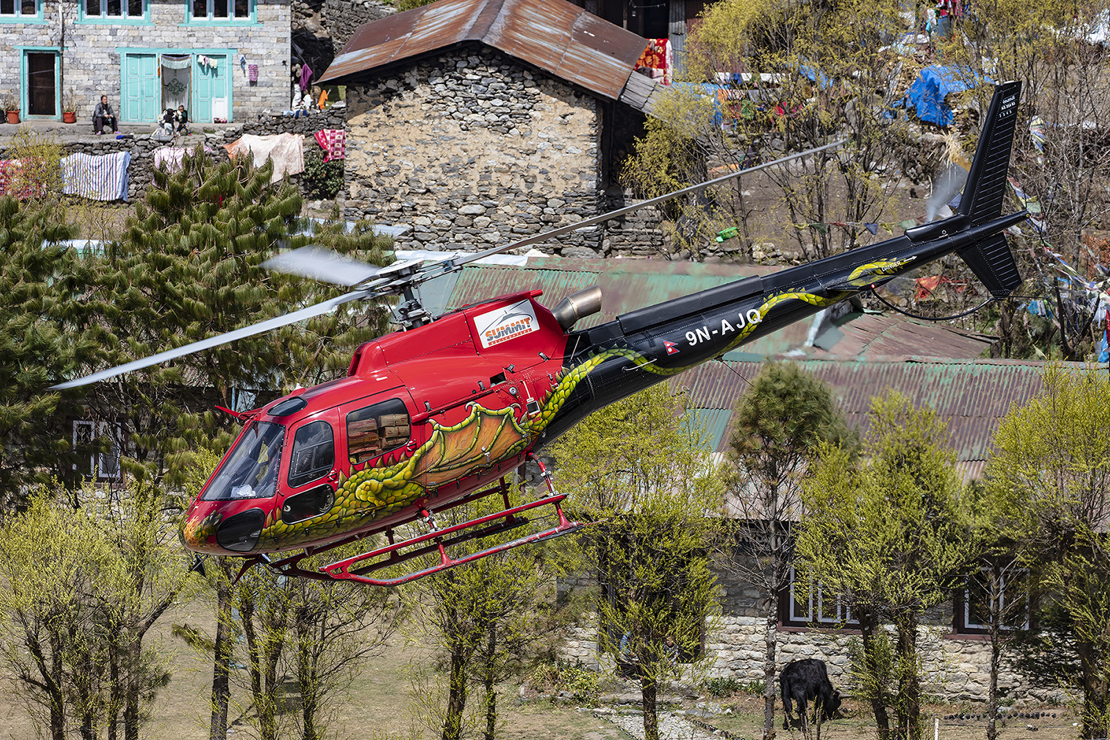 Auch Drachen fliegen in Lukla.