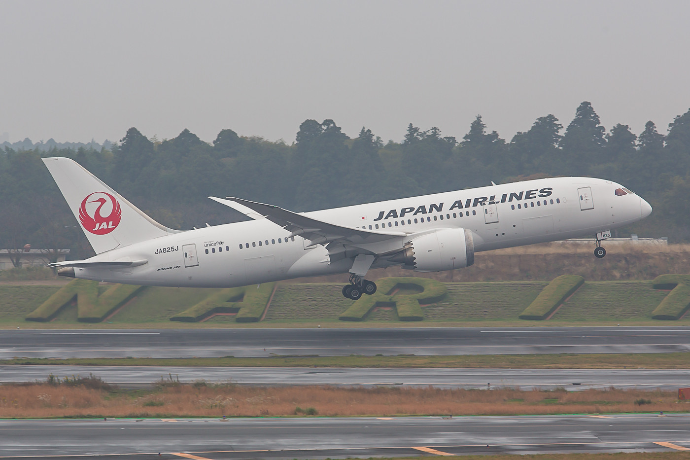 In Japan verfügt jeder Zivilflugahefen über einen von oben lesbaren Schriftzug. Die Hecke in Narita, hier mit der JA825J ist aber nahezu einmalig.