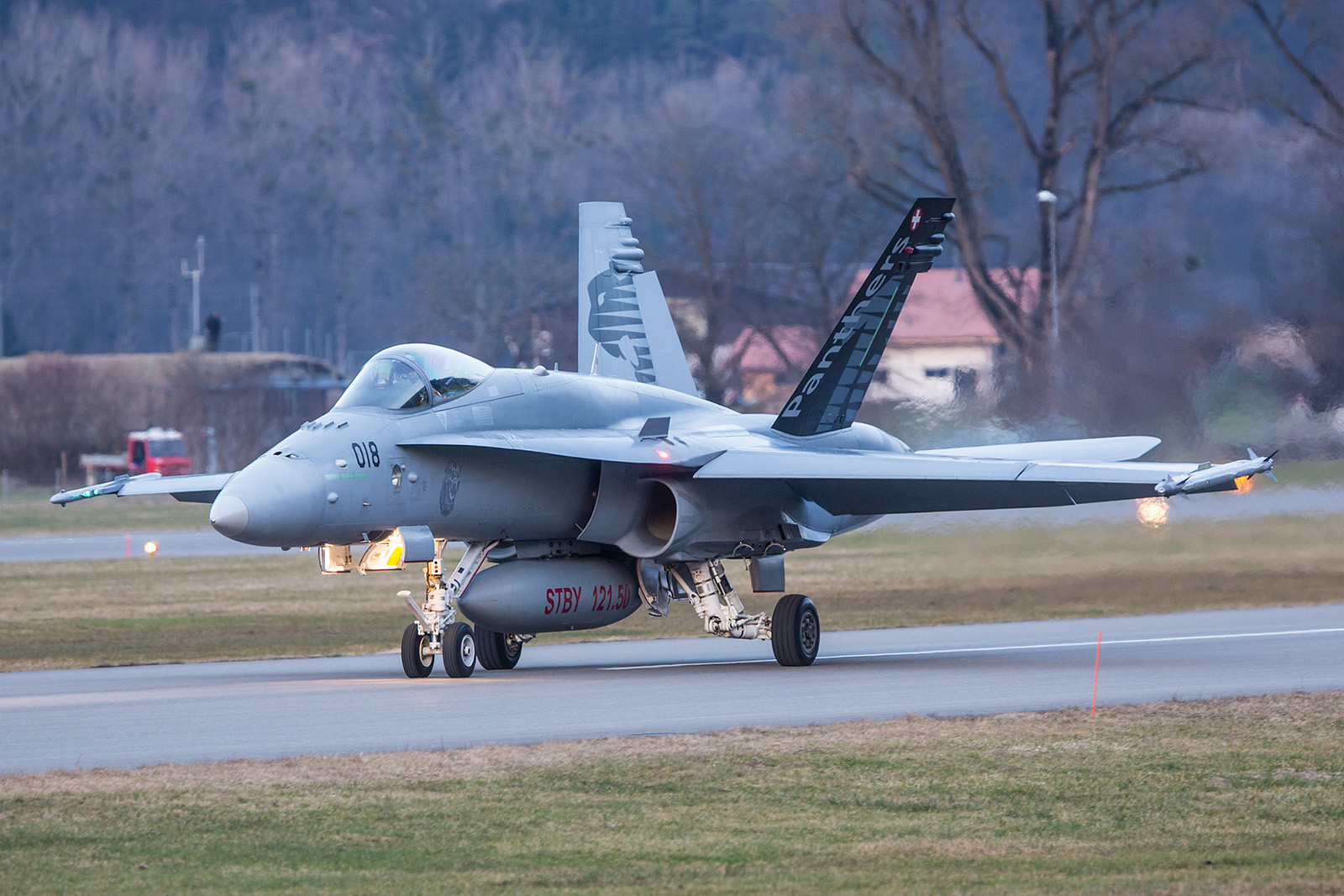 Hornet in der Sonderbemalung der Fliegerstaffel 18 "Panthers".