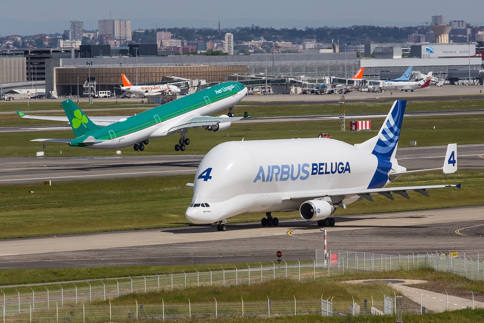 Die Belugas auf Basis der A300 werden bald durch modernere Spezialtransporter auf Basis der A330 ergänzt bzw. ersetzt.