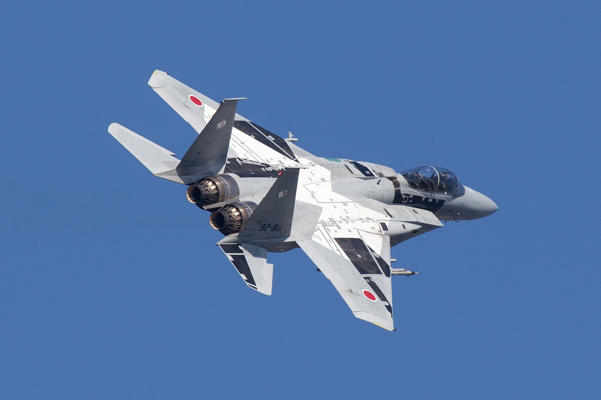 Nach der letzten Runde gaben die F-15 der Hiko Kyodotai ein paar Einlagen für die Fotografen.