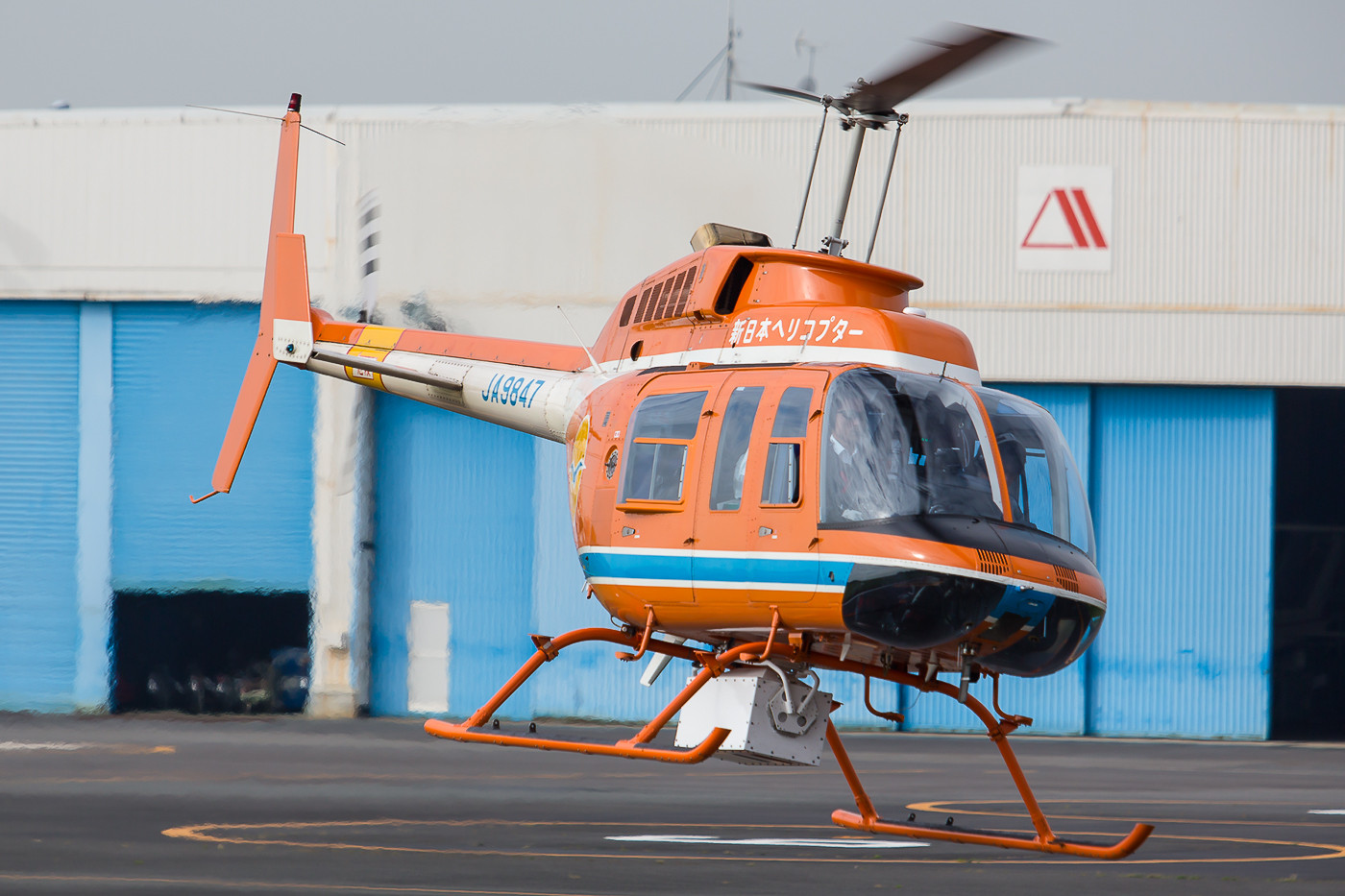 Bell-206 der Shin Nihon Helicopter.