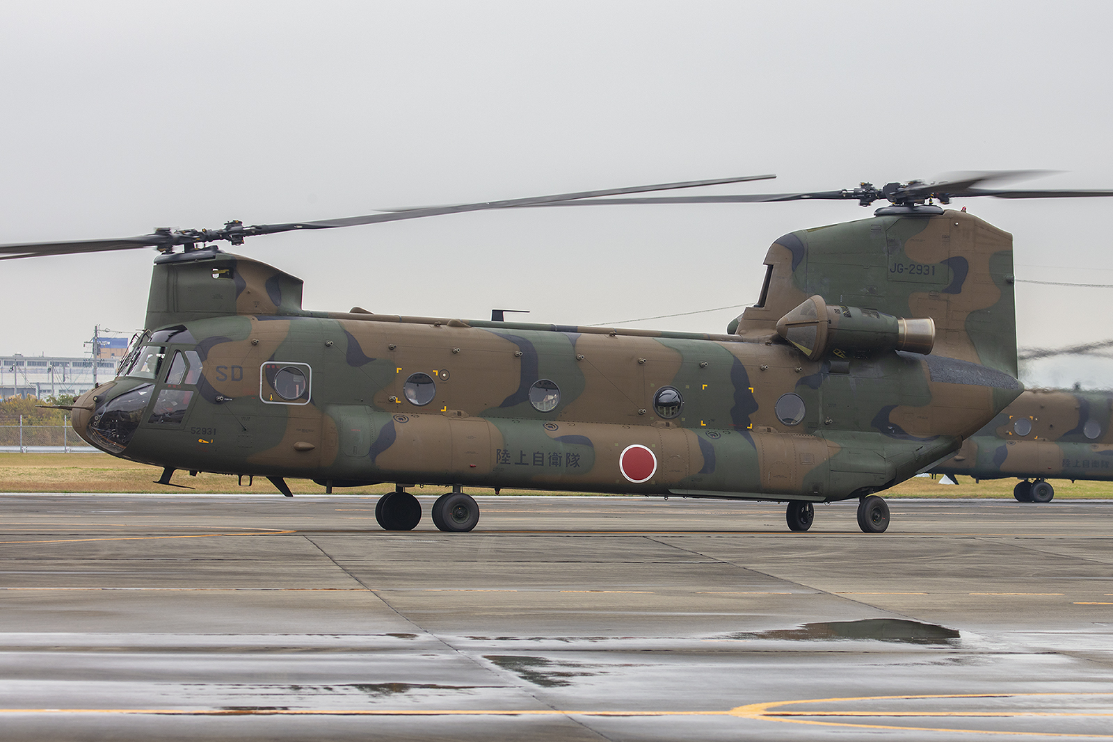 Unermüdlich drehten die Chinooks ihre Runden.