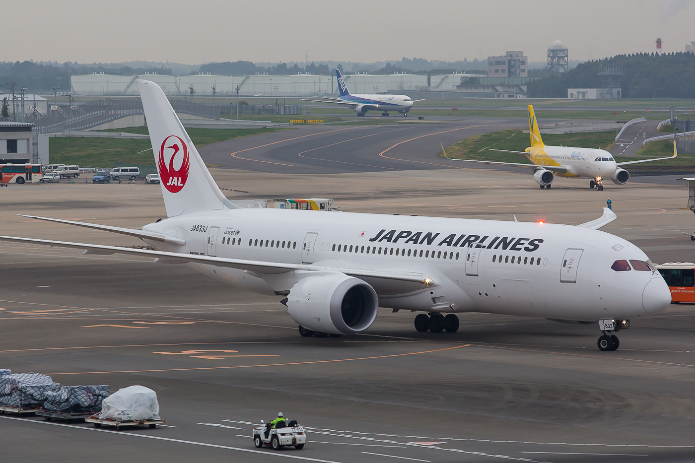 Die Dreamliner der JAL sind im Gegensatz zu denen der ANA vorallem im Intercontinentalverkehr eingesetzt.