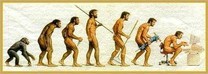 FASE 1, DEPILAZIONE