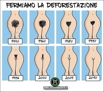 Fermiamo la deforestazione