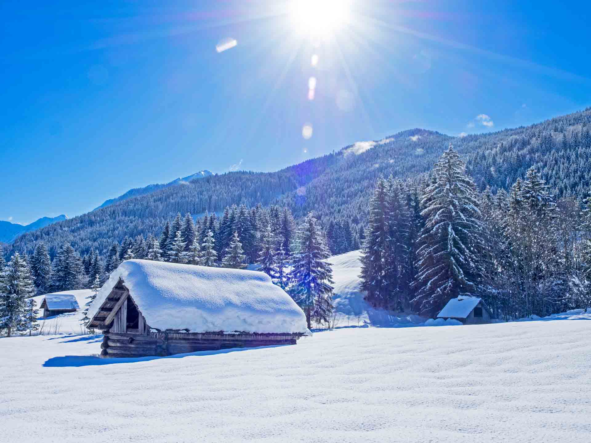 Verschneite Winterlandschaft