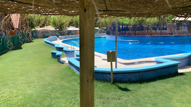 Piscina grande camping