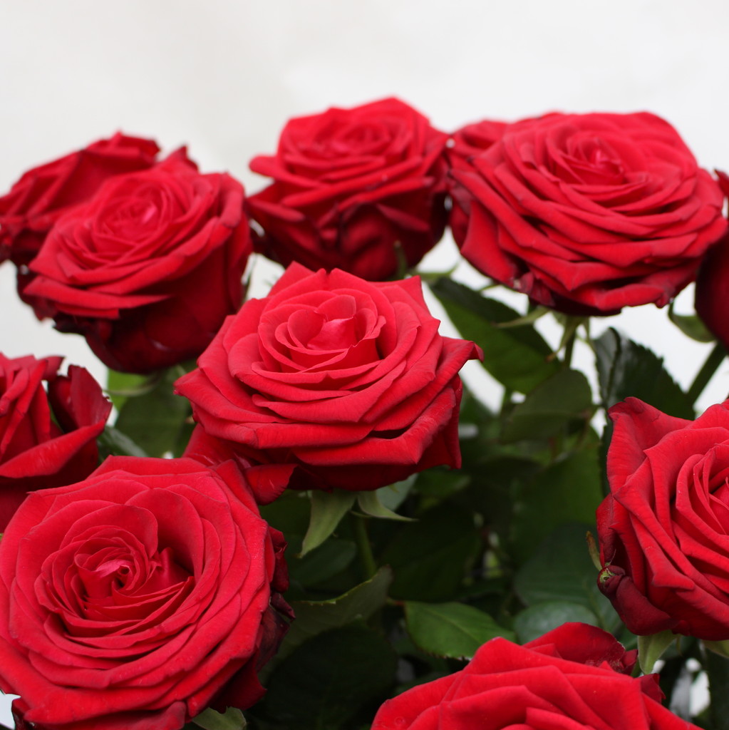 Hier können Sie eine Grußkarte auswählen. - Blumenversand ...