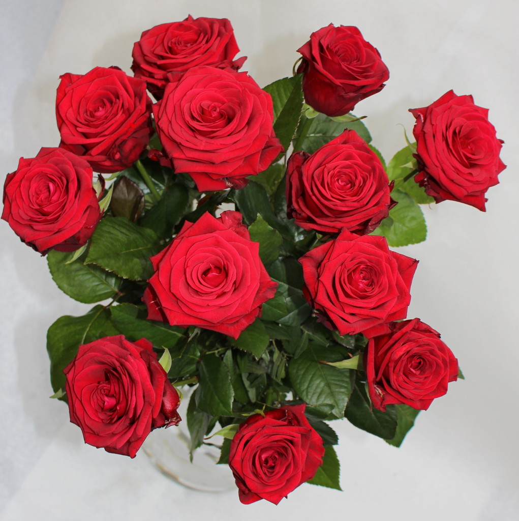 Hier können Sie eine Grußkarte auswählen. - Blumenversand ...