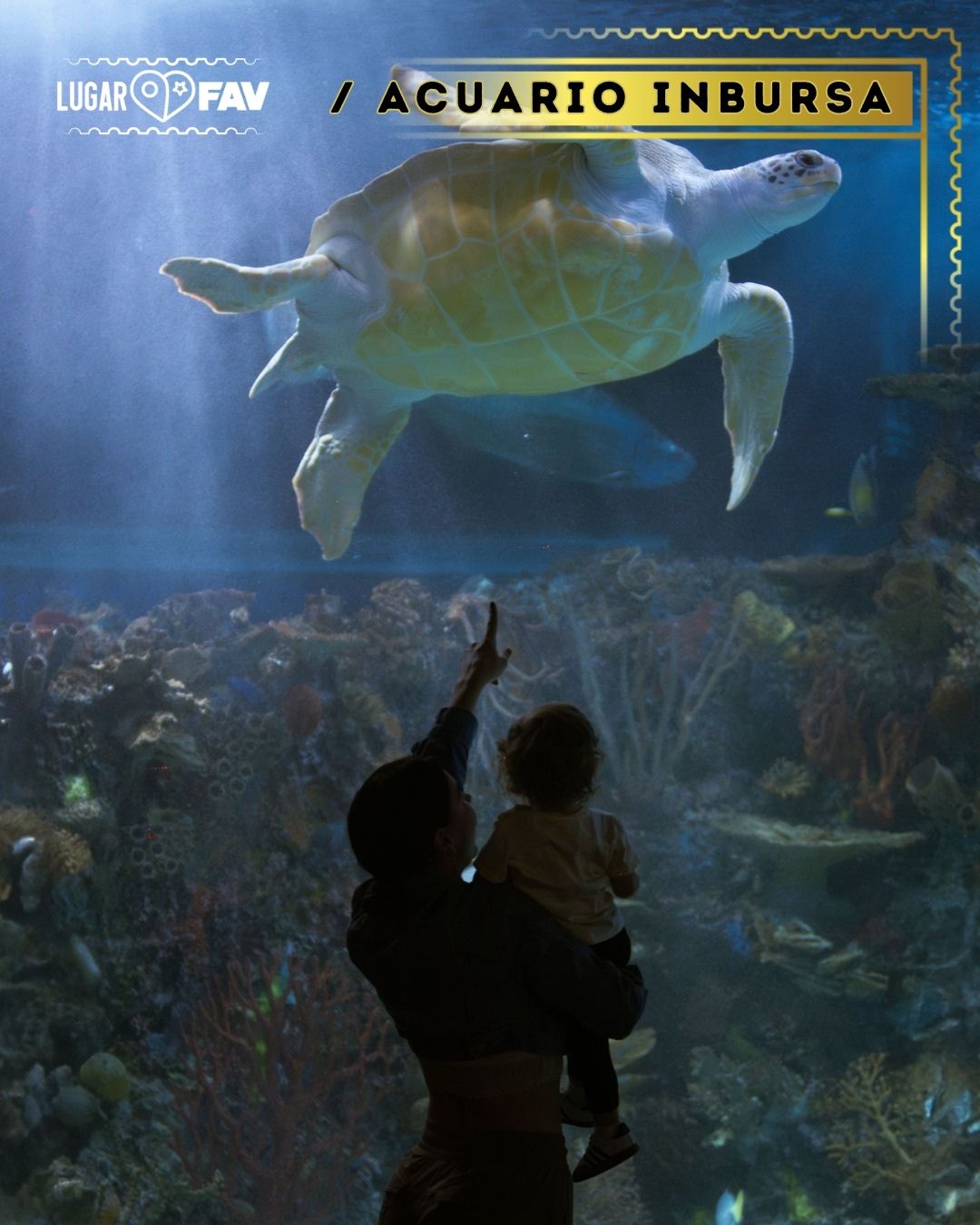 Acuario Inbursa