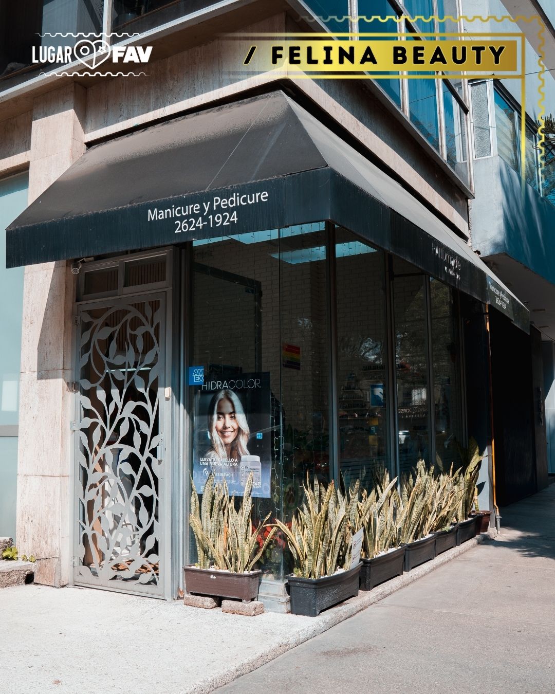 felina spa, los mejores lugares de belleza en cdmx