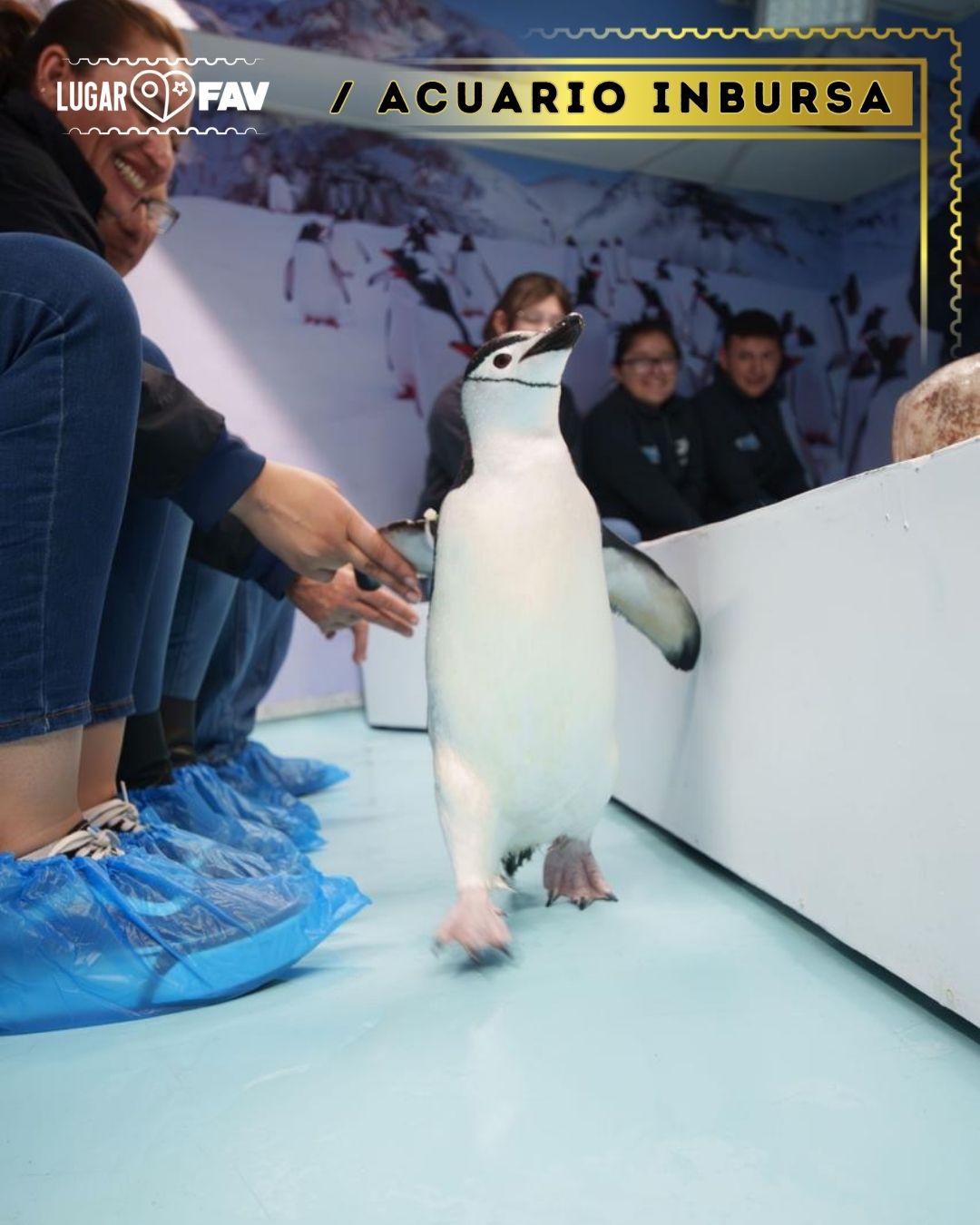 zoologicos en cdmx